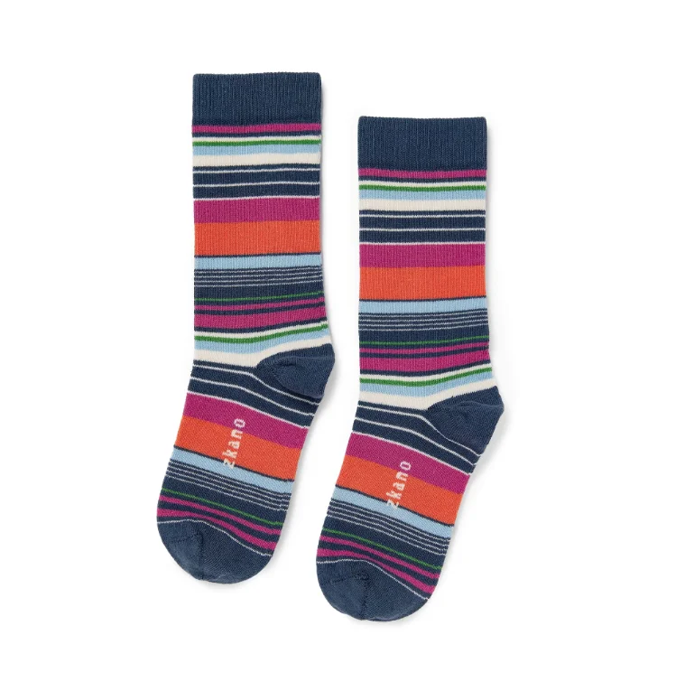 Variegated Stripe Socks in Navy from Zkano